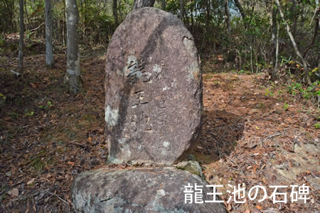 龍王池の石碑