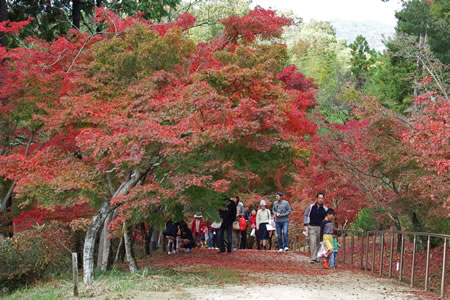 もみじ坂を登ってくる紅葉スタンプラリーの家族